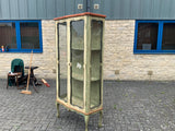 Antique Italian Polychrome Display Cabinet