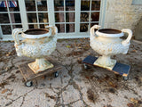 English Pair of Cast Iron Urns - Nineteenth Century