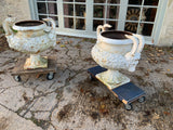 English Pair of Cast Iron Urns - Nineteenth Century