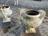 English Pair of Cast Iron Urns - Nineteenth Century